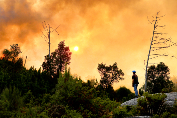 Spain battles 14 major fires with more expected